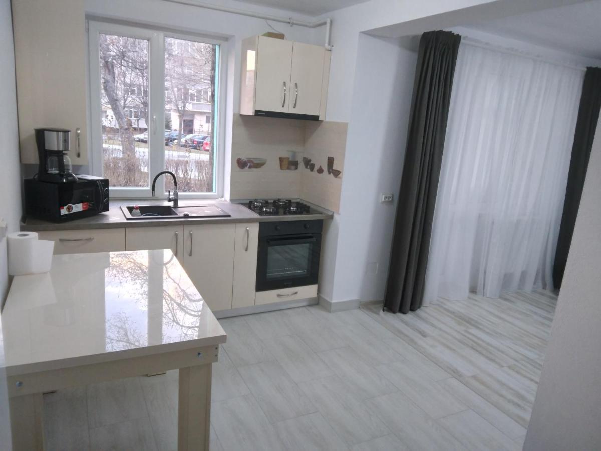 Luxury Apartament Curtea De Arges Ngoại thất bức ảnh